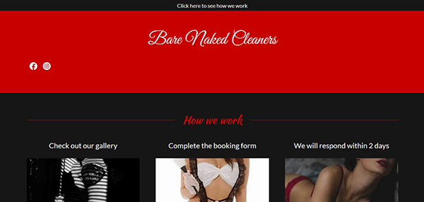 Bare Naked Cleaners